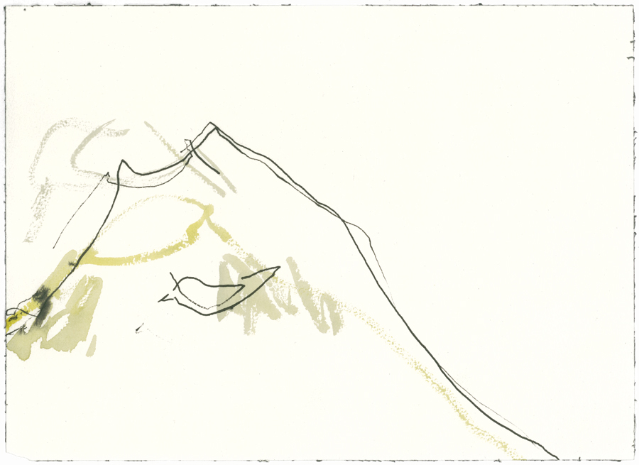 6-white-bird-in-a-vulcano